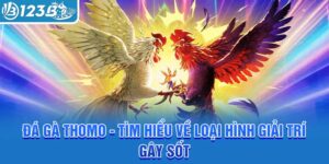 da-ga-thomo-tim-hieu-ve-loai-hinh-giai-tri-gay-sot