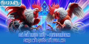 da-ga-truc-tiep-livestream-choi-ke-quoc-te-full-hd