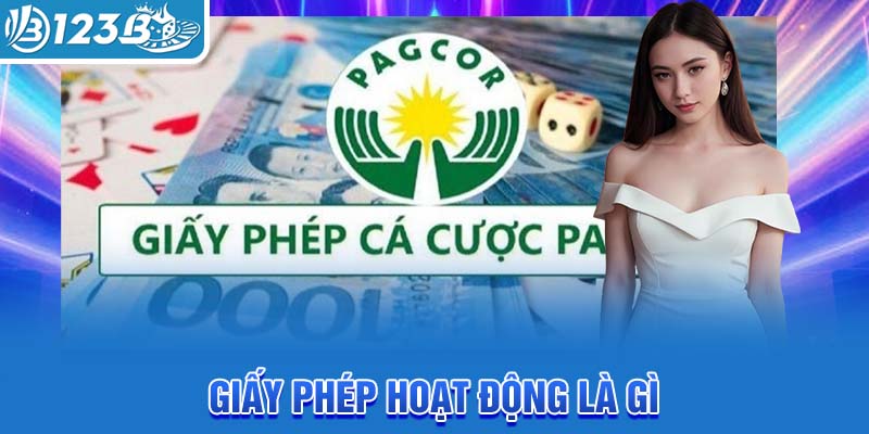 giay-phep-hoat-dong-la-gi