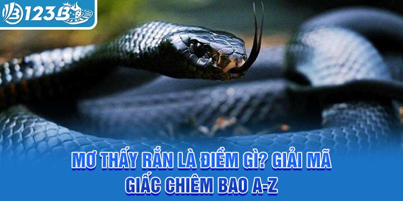 mo-thay-ran-la-diem-gi-giai-ma-giac-chiem-bao-a-z