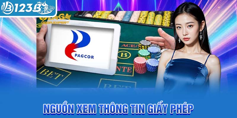 nguon-xem-thong-tin-giay-phep