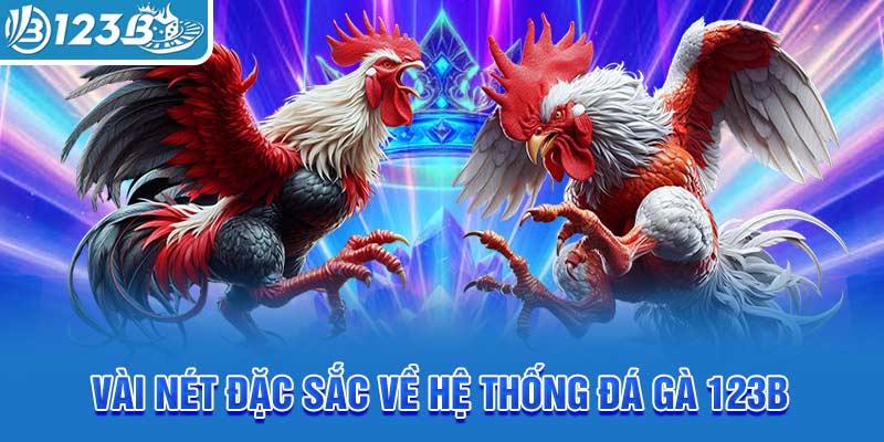 vai-net-dac-sac-ve-he-thong-da-ga-123b